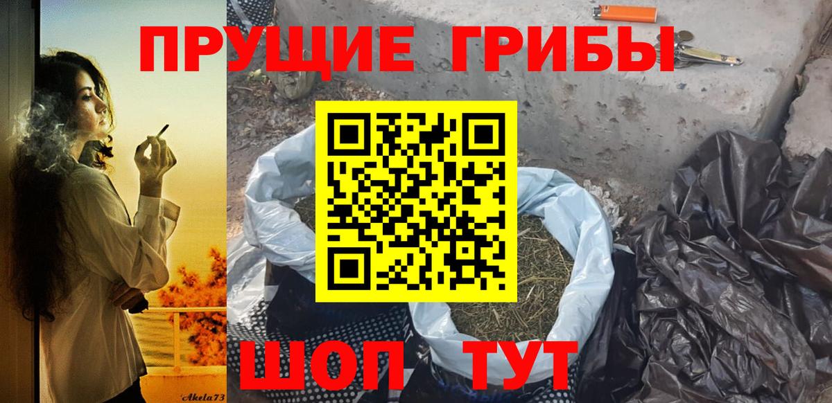 Галлюциногенные грибы Psilocybine cubensis  Вход с VPN  Ефремов  Псилоцибиновые грибы ЛСД 